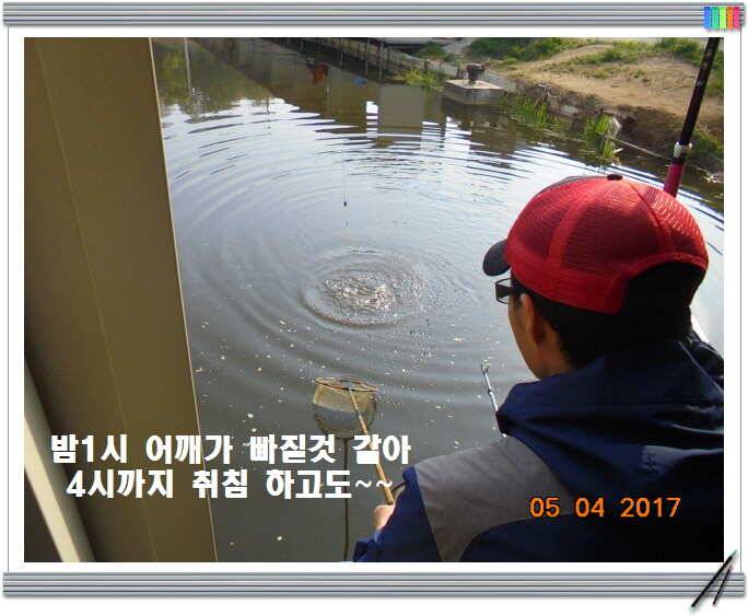 도심속의 작은 쉼터 화성 관리 낚시터입니다 (유료터정보 - 유료터점주조황)
