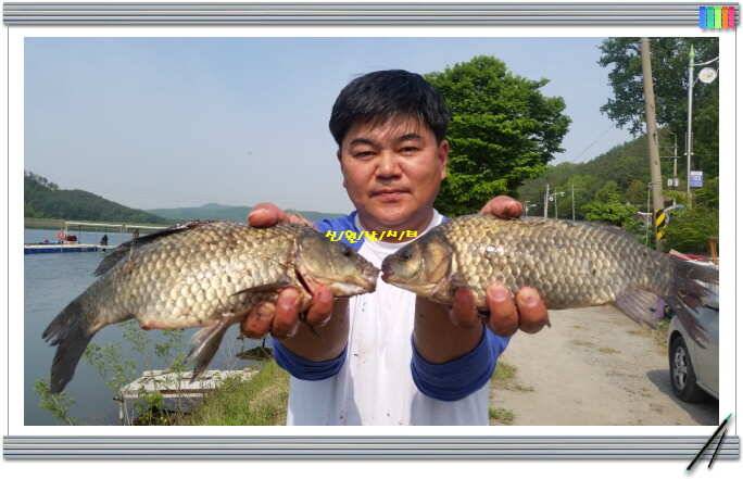 신원낚시터5월첫주 연휴대박 토종 4짜 (유료터정보 - 유료터점주조황)