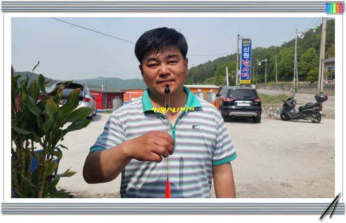 신원낚시터5월첫주 연휴대박 토종 4짜 (유료터정보 - 유료터점주조황)