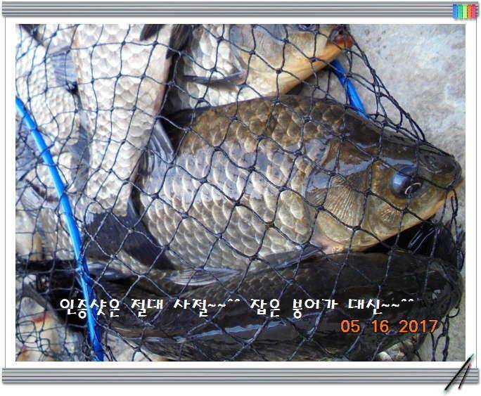 도심속의 작은 쉼터 화성 관리 낚시터입니다 (유료터정보 - 유료터점주조황)