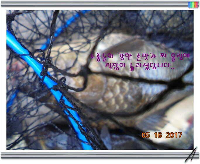 도심속의 작은 쉼터 화성 관리 낚시터입니다 (유료터정보 - 유료터점주조황)