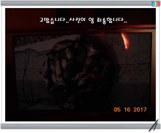 도심속의 작은 쉼터 화성 관리 낚시터입니다 (유료터정보 - 유료터점주조황)