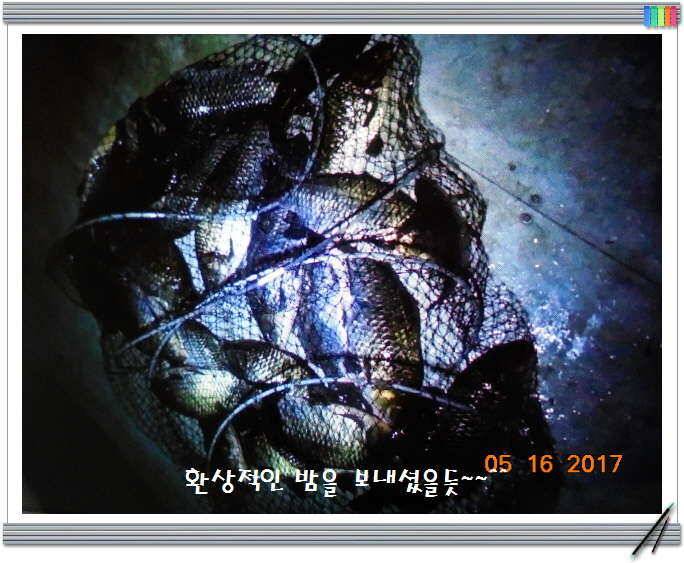 도심속의 작은 쉼터 화성 관리 낚시터입니다 (유료터정보 - 유료터점주조황)