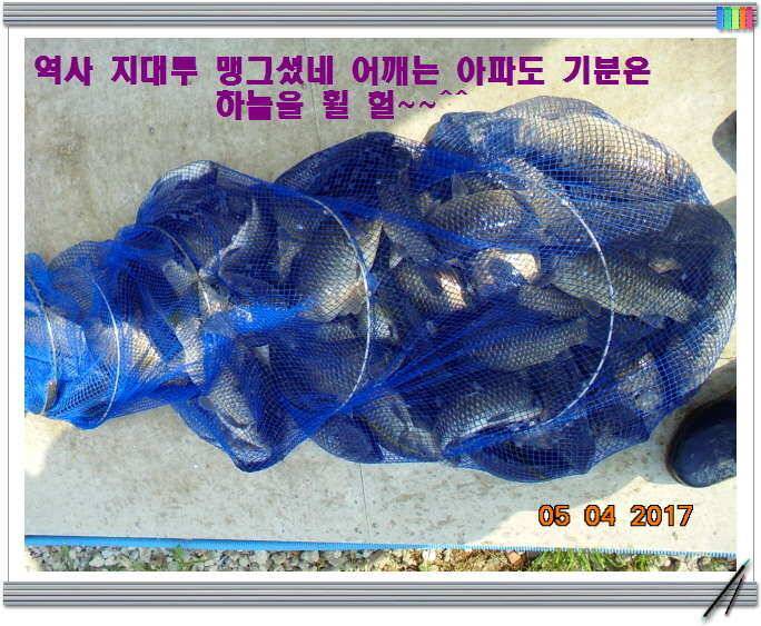 도심속의 작은 쉼터 화성 관리 낚시터입니다밤이 즐겁습니다 (유료터정보 - 유료터점주조황)