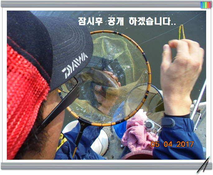 도심속의 작은 쉼터 화성 관리 낚시터입니다밤이 즐겁습니다 (유료터정보 - 유료터점주조황)