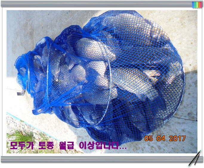 도심속의 작은 쉼터 화성 관리 낚시터입니다밤이 즐겁습니다 (유료터정보 - 유료터점주조황)