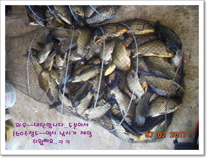 도심속의 작은 쉼터 화성 관리 낚시터입니다굿조황 (유료터정보 - 유료터점주조황)