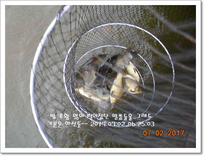 도심속의 작은 쉼터 화성 관리 낚시터입니다굿조황 (유료터정보 - 유료터점주조황)