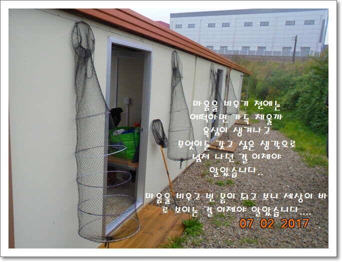 도심속의 작은 쉼터 화성 관리 낚시터입니다굿조황 (유료터정보 - 유료터점주조황)