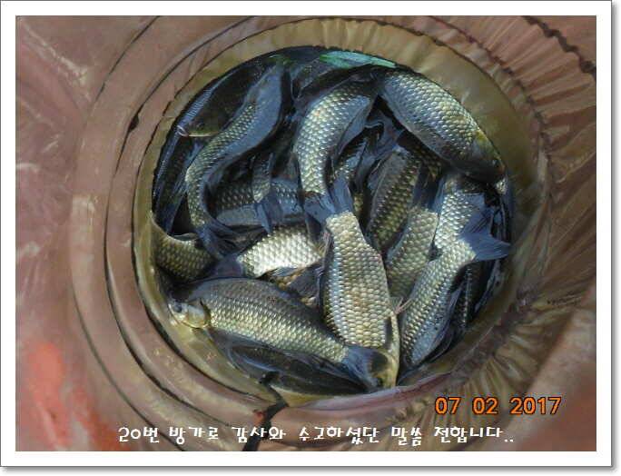 도심속의 작은 쉼터 화성 관리 낚시터입니다굿조황 (유료터정보 - 유료터점주조황)