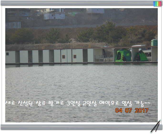 도심속의 작은 쉼터 화성 관리 낚시터입니다어제 못다한 이야기 (유료터정보 - 유료터점주조황)