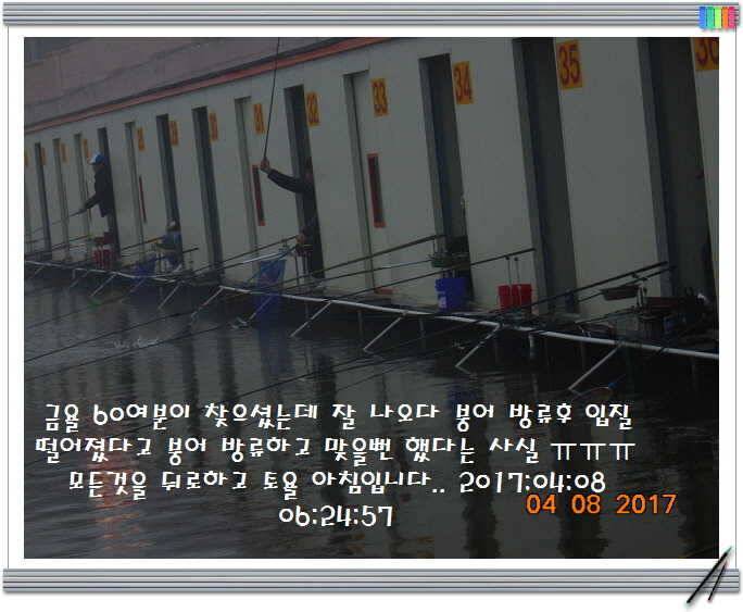 도심속의 작은 쉼터 화성 관리 낚시터입니다어제 못다한 이야기 (유료터정보 - 유료터점주조황)