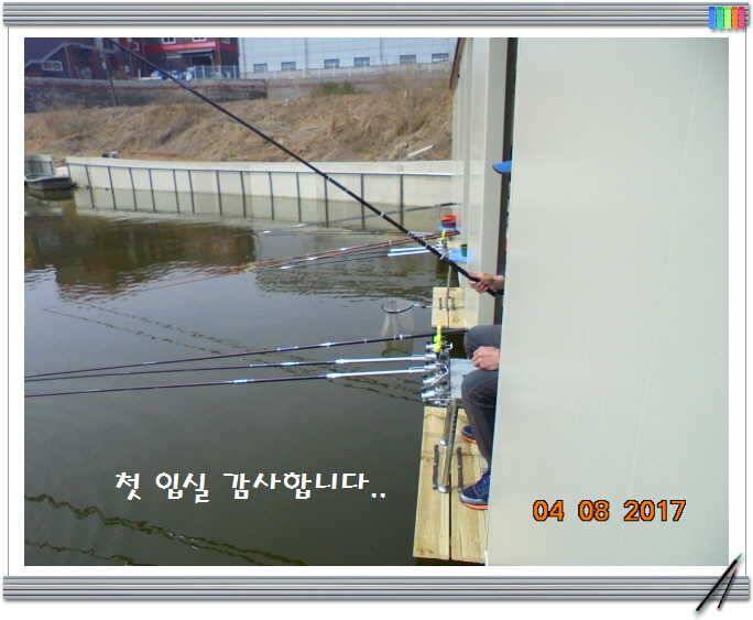 도심속의 작은 쉼터 화성 관리 낚시터입니다어제 못다한 이야기 (유료터정보 - 유료터점주조황)