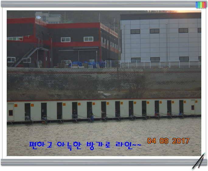 도심속의 작은 쉼터 화성 관리 낚시터입니다어제 못다한 이야기 (유료터정보 - 유료터점주조황)