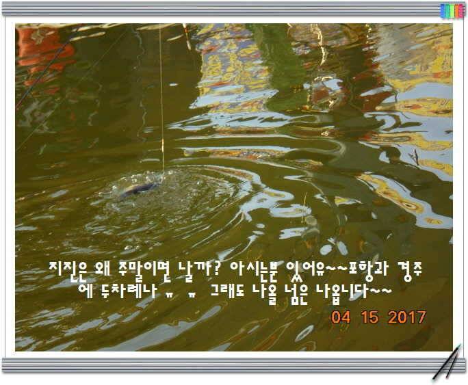 도심속의 작은 쉼터 화성 관리 낚시터입니다 (유료터정보 - 유료터점주조황)