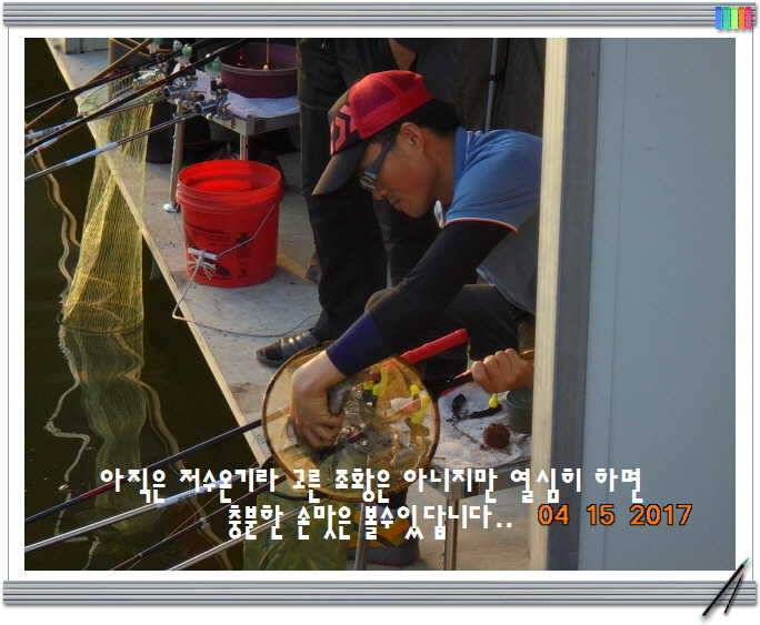 도심속의 작은 쉼터 화성 관리 낚시터입니다 (유료터정보 - 유료터점주조황)