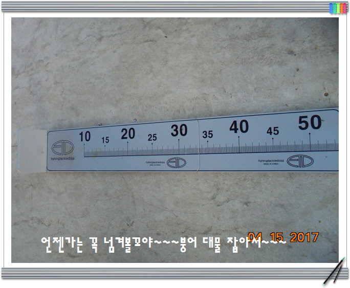 도심속의 작은 쉼터 화성 관리 낚시터입니다 (유료터정보 - 유료터점주조황)