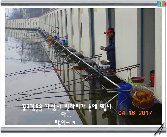 도심속의 작은 쉼터 화성 관리 낚시터입니다 (유료터정보 - 유료터점주조황)