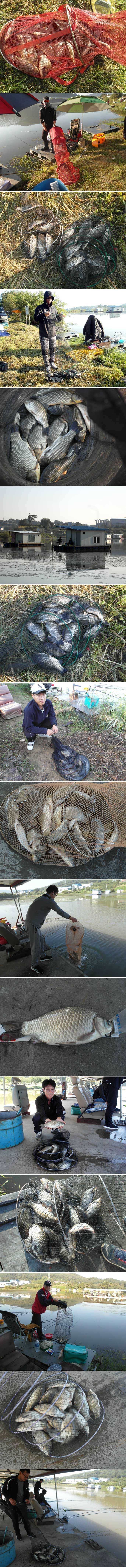 넉넉한 가을 조과입니다 (유료터정보 - 유료터점주조황)