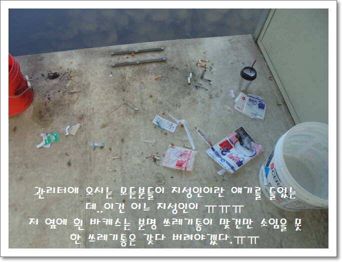 도심속의 작은 쉼터 화성 관리 낚시터입니다아직은 (유료터정보 - 유료터점주조황)