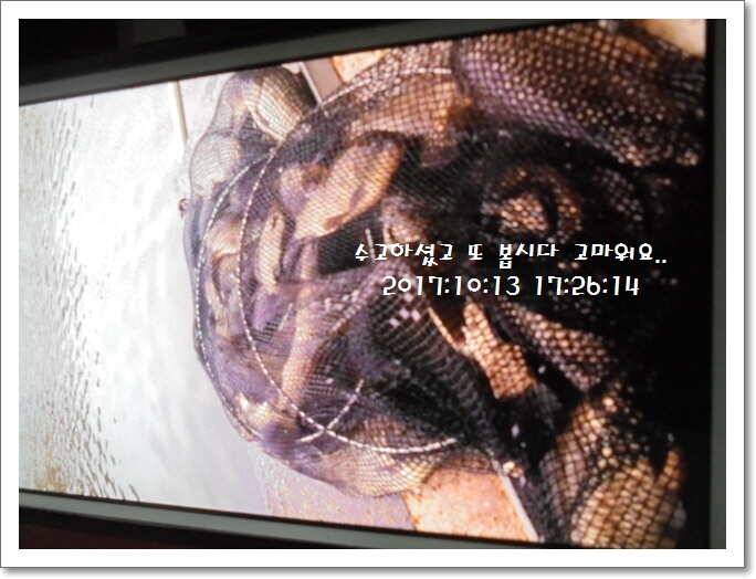 도심속의 작은 쉼터 화성 관리 낚시터입니다대물 기운 받아 가세요 (유료터정보 - 유료터점주조황)