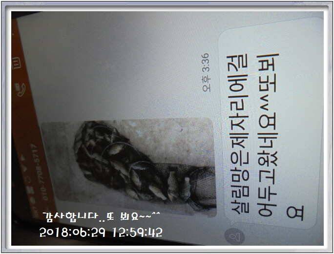 도심속의 작은 쉼터 화성 관리낚시터입니다쉬어가세요 (유료터정보 - 유료터점주조황)