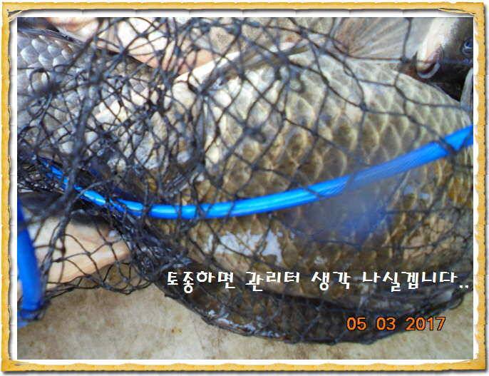 도심속의 작은 쉼터 화성 관리 낚시터입니다 (유료터정보 - 유료터점주조황)