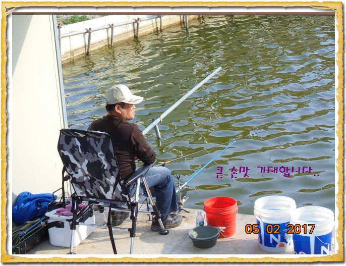도심속의 작은 쉼터 화성 관리 낚시터입니다 (유료터정보 - 유료터점주조황)