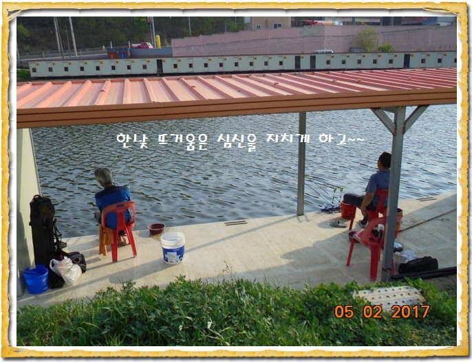 도심속의 작은 쉼터 화성 관리 낚시터입니다 (유료터정보 - 유료터점주조황)
