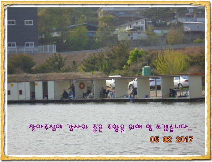 도심속의 작은 쉼터 화성 관리 낚시터입니다 (유료터정보 - 유료터점주조황)