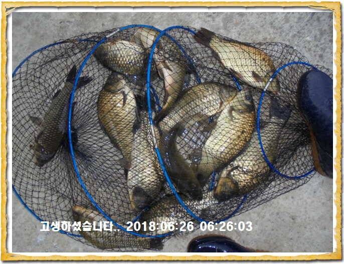 도심속의 작은 쉼터 화성 관리낚시터입니다무덥습니다잠시 쉬어가세요 (유료터정보 - 유료터점주조황)