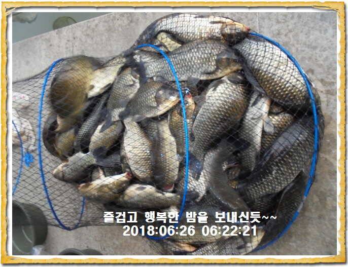 도심속의 작은 쉼터 화성 관리낚시터입니다무덥습니다잠시 쉬어가세요 (유료터정보 - 유료터점주조황)