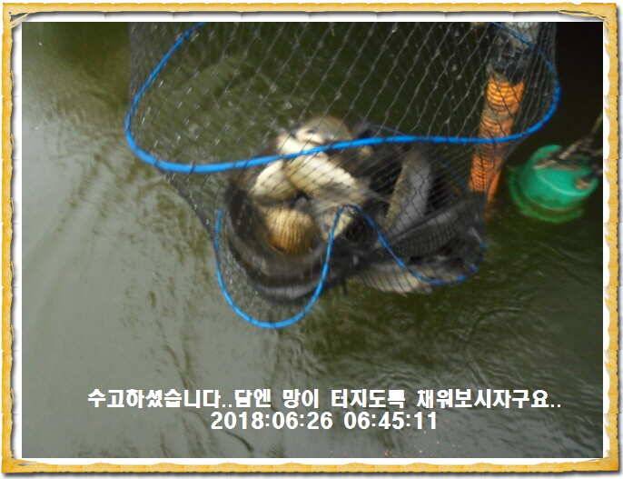 도심속의 작은 쉼터 화성 관리낚시터입니다무덥습니다잠시 쉬어가세요 (유료터정보 - 유료터점주조황)