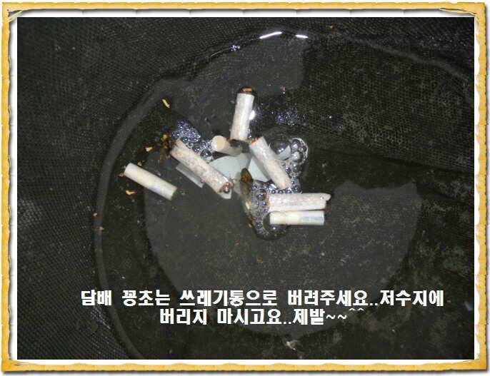 도심속의 작은 쉼터 화성 관리낚시터입니다무덥습니다잠시 쉬어가세요 (유료터정보 - 유료터점주조황)