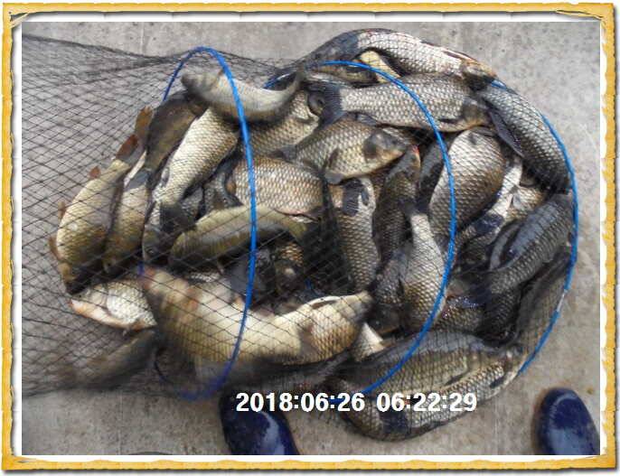 도심속의 작은 쉼터 화성 관리낚시터입니다무덥습니다잠시 쉬어가세요 (유료터정보 - 유료터점주조황)