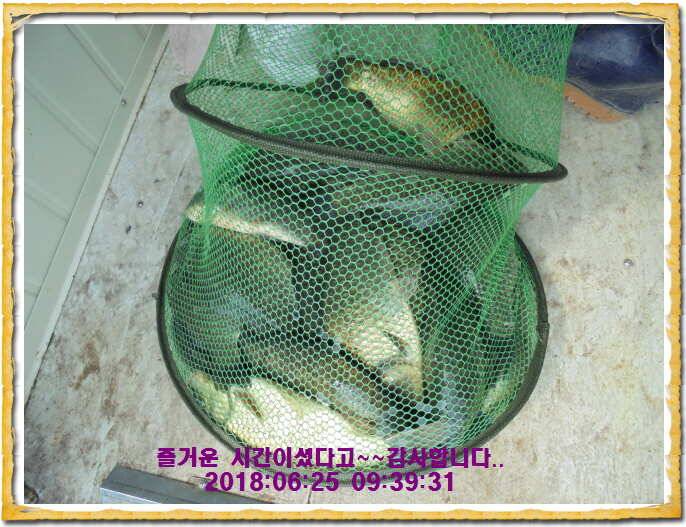 도심속의 작은 쉼터 화성 관리낚시터입니다무덥습니다잠시 쉬어가세요 (유료터정보 - 유료터점주조황)