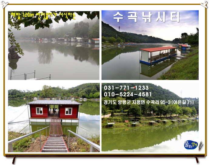 양평 수곡낚시터 주말및 일요일 조황안내 (유료터정보 - 유료터점주조황)