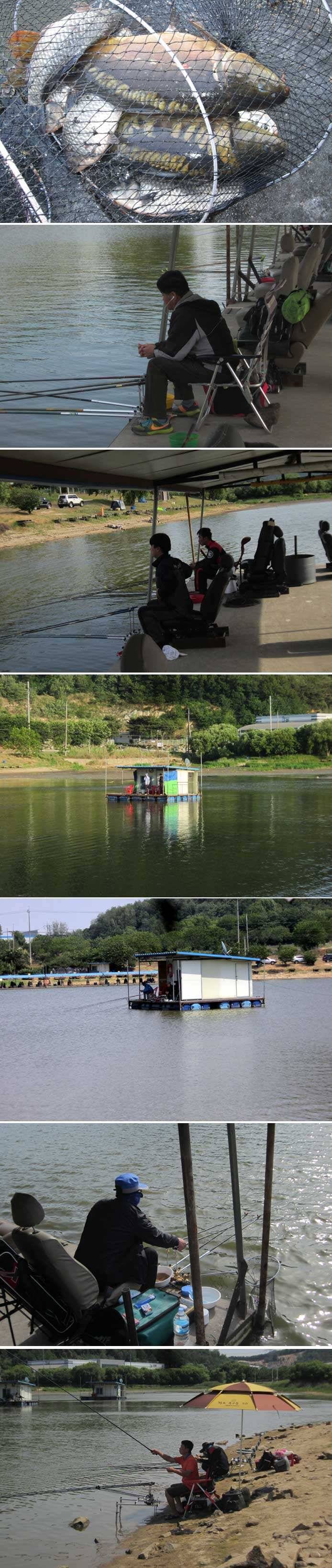 언제나 오시려나 (유료터정보 - 유료터점주조황)