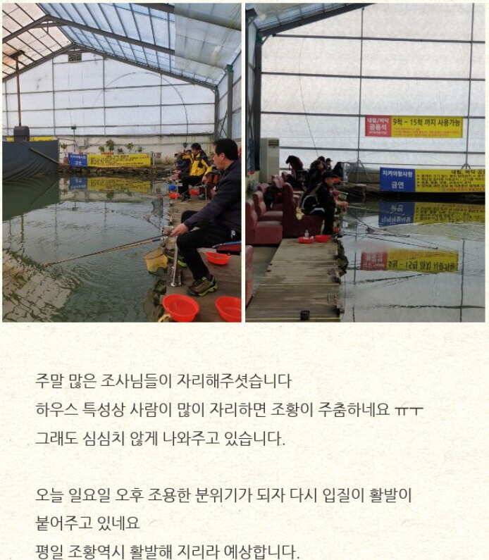 조치원 낚시터 하우스낚시 2019224주말 조황 안내입니다 (유료터정보 - 유료터점주조황)