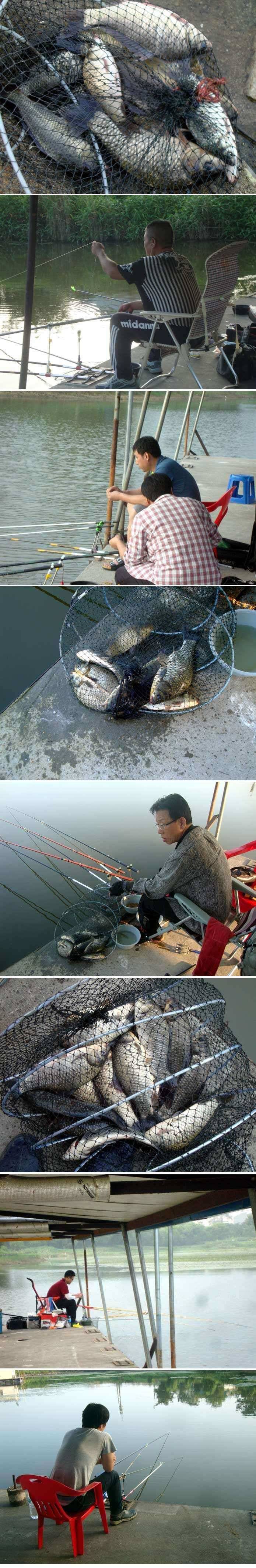 강력한 폭염속에서 (유료터정보 - 유료터점주조황)