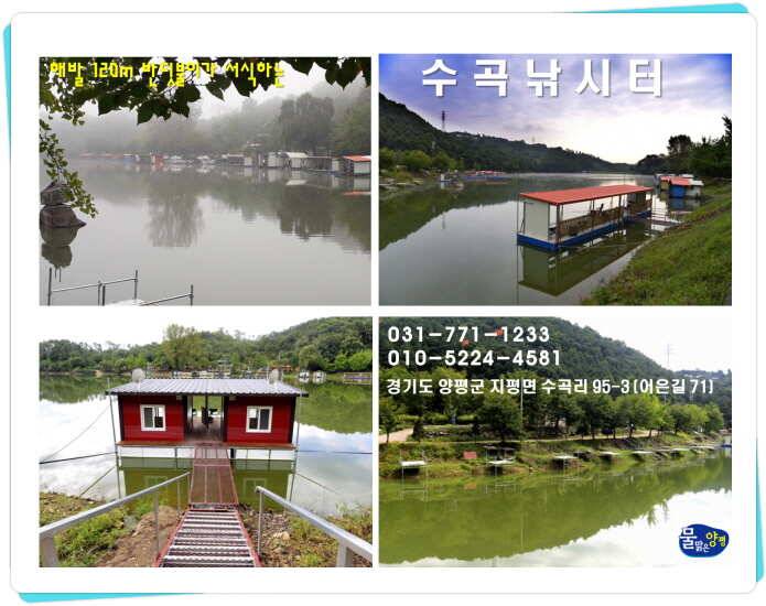 양평 수곡낚시터 어제도 조황이 좋았습니다 (유료터정보 - 유료터점주조황)