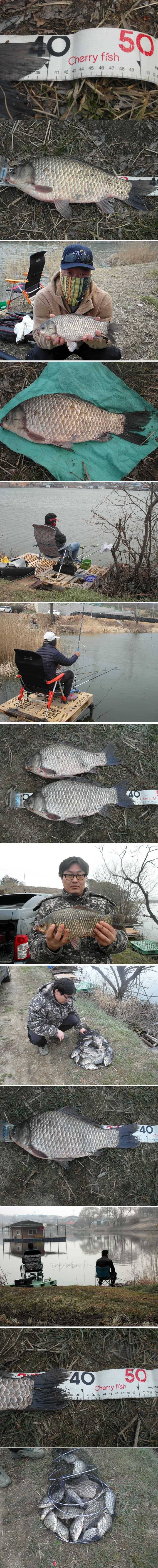 토종 4짜 월척급들이 (유료터정보 - 유료터점주조황)
