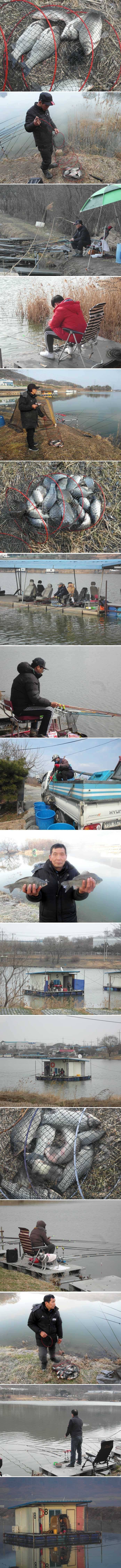 신봉지의 주말 조황입니다 (유료터정보 - 유료터점주조황)