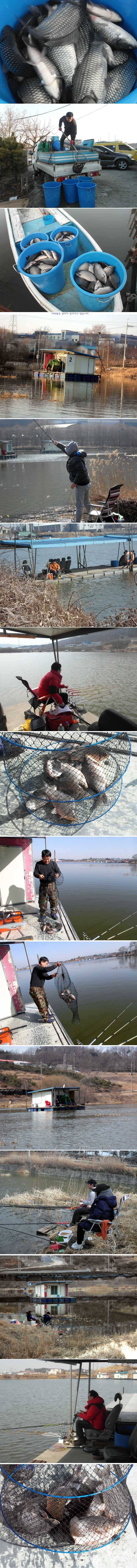 아직은 겨울인가 봅니다 (유료터정보 - 유료터점주조황)