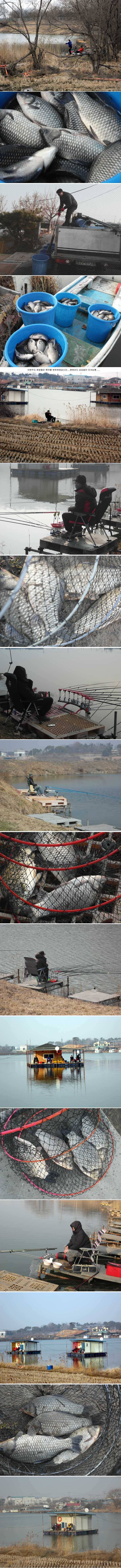 3월 첮주말 방류와함께 (유료터정보 - 유료터점주조황)