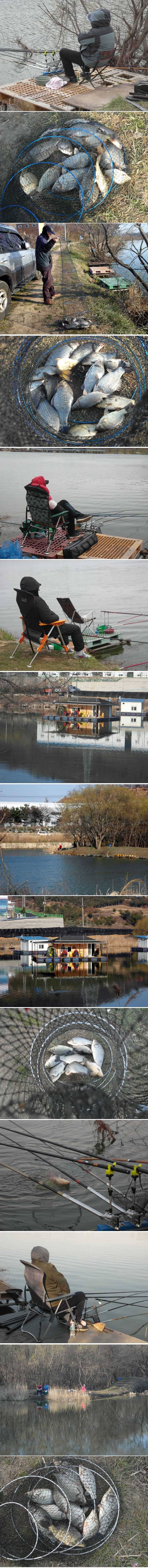 따끈따끈한 조황입니다 (유료터정보 - 유료터점주조황)