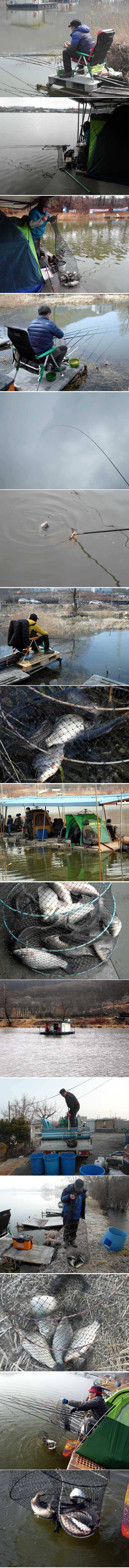 오늘아침 조황입니다 (유료터정보 - 유료터점주조황)