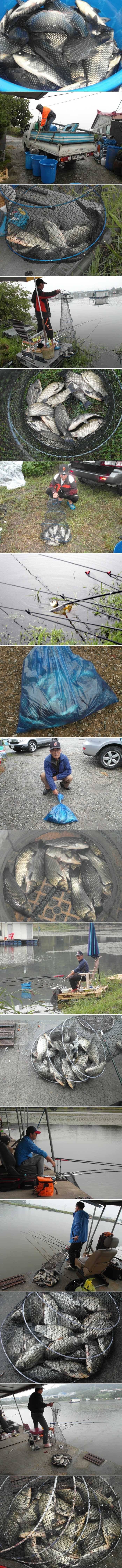 예상대로 주말조황 짱 이었습니다 (유료터정보 - 유료터점주조황)