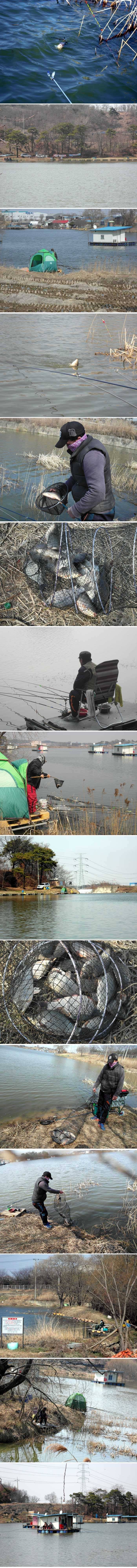 신봉지 따끈한 조황입니다 (유료터정보 - 유료터점주조황)