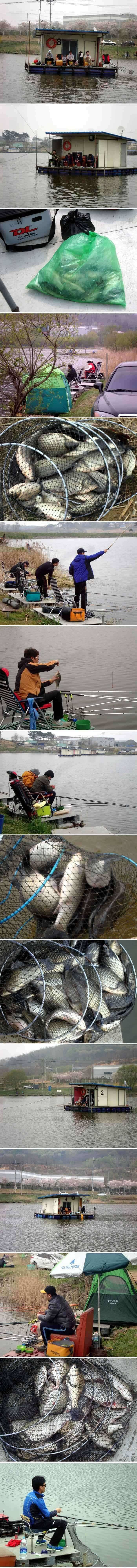 신봉지 어제부터 산란중 입니다 (유료터정보 - 유료터점주조황)